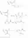 Fig. 29 - Small molecule Bcl-xL/Bcl-2 binding inhibitors