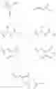 Fig. 50 - Small molecule cyclin D1 ablative agents