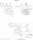 Fig. 08 - Process for the preparation of atorvastatin and intermediates
