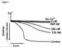 Fig. 03 - Mitochrondrial permeability transition pore affinity labels and modulators