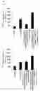 Fig. 06 - Mitochrondrial permeability transition pore affinity labels and modulators