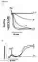 Fig. 07 - Mitochrondrial permeability transition pore affinity labels and modulators