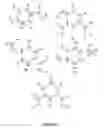 Fig. 02 - SUBSTANCE WITH SEDATIVE EFFECT