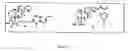 Fig. 13 - Interleukin-1 and tumor necrosis factor-α modulators, synthesis of said modulators and their enantiomers and methods of using said modulators