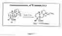 Fig. 16 - Interleukin-1 and tumor necrosis factor-α modulators, synthesis of said modulators and their enantiomers and methods of using said modulators