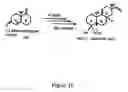 Fig. 19 - Interleukin-1 and tumor necrosis factor-α modulators, synthesis of said modulators and their enantiomers and methods of using said modulators