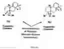 Fig. 25 - Interleukin-1 and tumor necrosis factor-α modulators, synthesis of said modulators and their enantiomers and methods of using said modulators