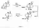 Fig. 27 - Interleukin-1 and tumor necrosis factor-α modulators, synthesis of said modulators and their enantiomers and methods of using said modulators