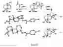 Fig. 29 - Interleukin-1 and tumor necrosis factor-α modulators, synthesis of said modulators and their enantiomers and methods of using said modulators