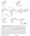 Fig. 35 - Interleukin-1 and tumor necrosis factor-α modulators, synthesis of said modulators and their enantiomers and methods of using said modulators