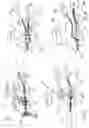 Fig. 02 - Multi-gate reaction injection assembly for use with a closed mold for mixing and setting iso and poly fluid based polymers withoneor more aggregate filler material