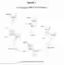 Fig. 02 - Methods of synthesizing oligonucleotides using carbonate protecting groups and alpha-effect nucleophile deprotection