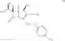 Fig. 04 - Intermediate for carbapenem compound for oral administration and process for producing the same