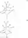 Fig. 23 - Structure of camphor-derived chiral auxiliary and method for forming the same