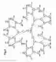 Fig. 04 - Dendrimers