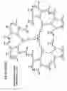 Fig. 14 - Dendrimers