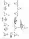 Fig. 15 - Dendrimers