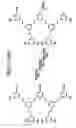 Fig. 17 - Dendrimers