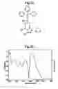Fig. 19 - Dendrimers
