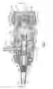 Fig. 05 - Veterinary otoscope