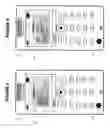 Fig. 03 - MOBILE PHONE EMERGENCY MEDICAL DATA APPLICATION