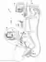 Fig. 02 - Software product for three-dimensional cardiac imaging using ultrasound contour reconstruction