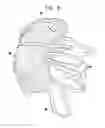 Fig. 07 - Software product for three-dimensional cardiac imaging using ultrasound contour reconstruction