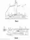 Fig. 03 - Physical therapy platform assembly