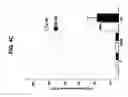Fig. 07 - Method of using oxidative reductive potential water solution in dental applications