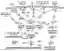 Fig. 01 - Systems and Methods to Treat Pain Locally