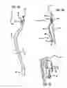 Fig. 05 - Surgical robotic helping hand system