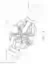 Fig. 04 - Sheath for enabling insertion and extraction of anastomotic ring applier