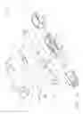 Fig. 06 - Sheathless anastomotic ring applier device