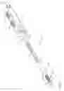 Fig. 02 - Articulating anastomotic ring applier