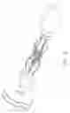Fig. 03 - Articulating anastomotic ring applier