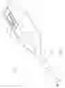 Fig. 02 - Anastomotic ring applier with double motion actuation