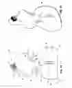 Fig. 02 - Teething device