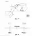 Fig. 02 - Method and apparatus for controlling autonomic balance using neural stimulation
