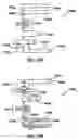 Fig. 10 - Device, method and stimulus unit for testing neuromuscular function