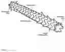 Fig. 02 - Removeable stents