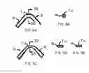 Fig. 06 - Methods and apparatus for endovascular heart valve replacement comprising tissue grasping elements