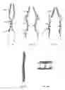 Fig. 27 - Methods and apparatus for endovascular heart valve replacement comprising tissue grasping elements