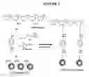 Fig. 03 - Production of tissue engineered heart valves