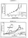Fig. 11 - Production of tissue engineered heart valves