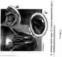 Fig. 15 - Production of tissue engineered heart valves