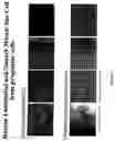 Fig. 19 - Production of tissue engineered heart valves