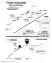 Fig. 43 - Data-driven combined traffic/weather views