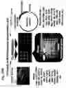Fig. 37 - Digital cell