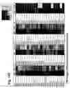 Fig. 42 - Digital cell