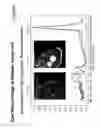 Fig. 10 - Digitizing biology